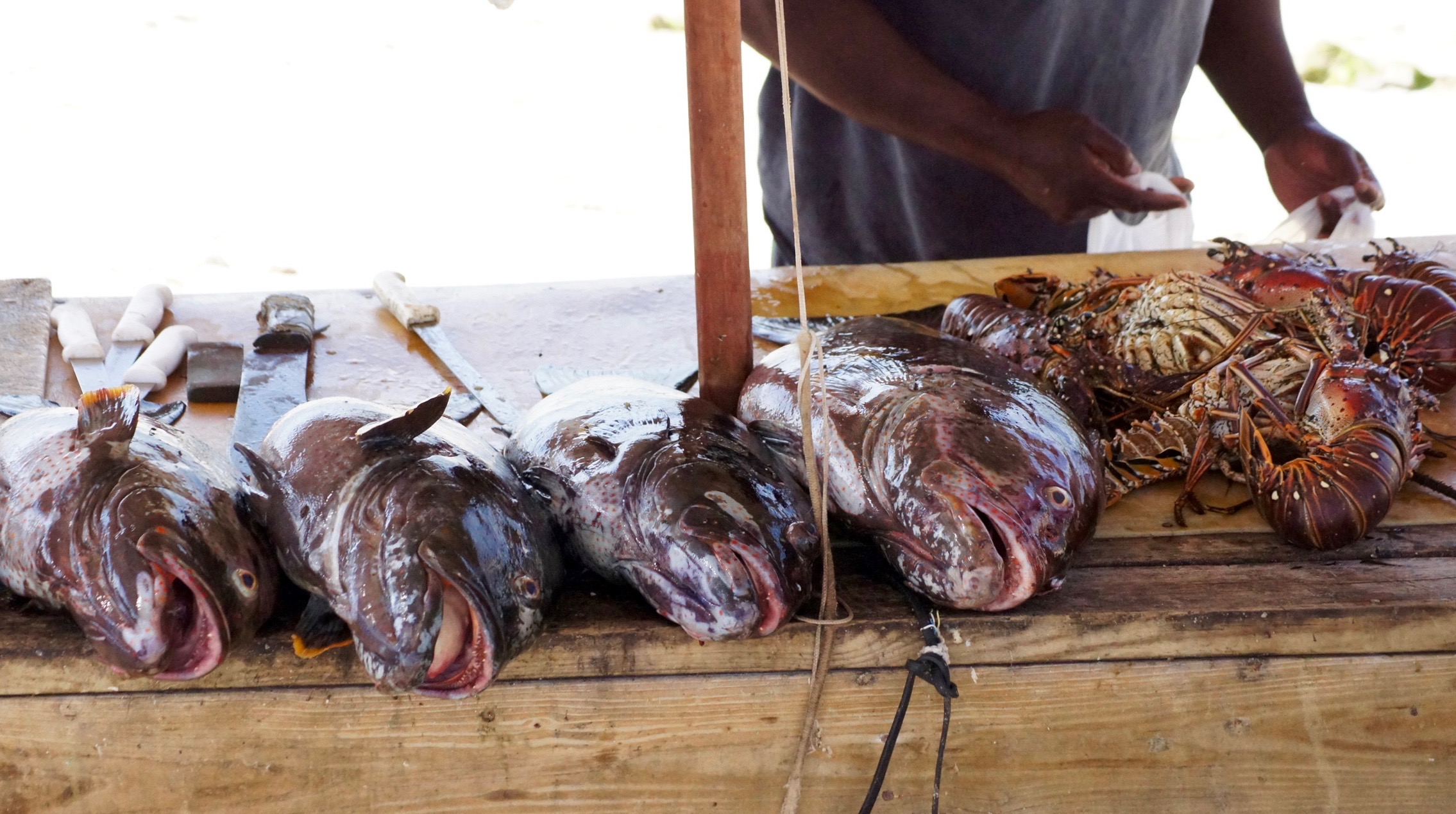 Fresh Fish market on Eleuthera Island